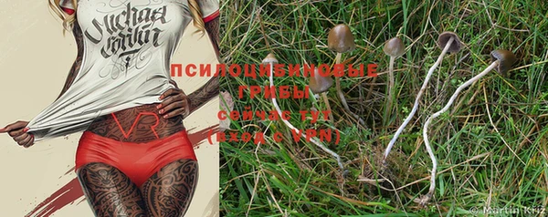 прущая мука Абдулино